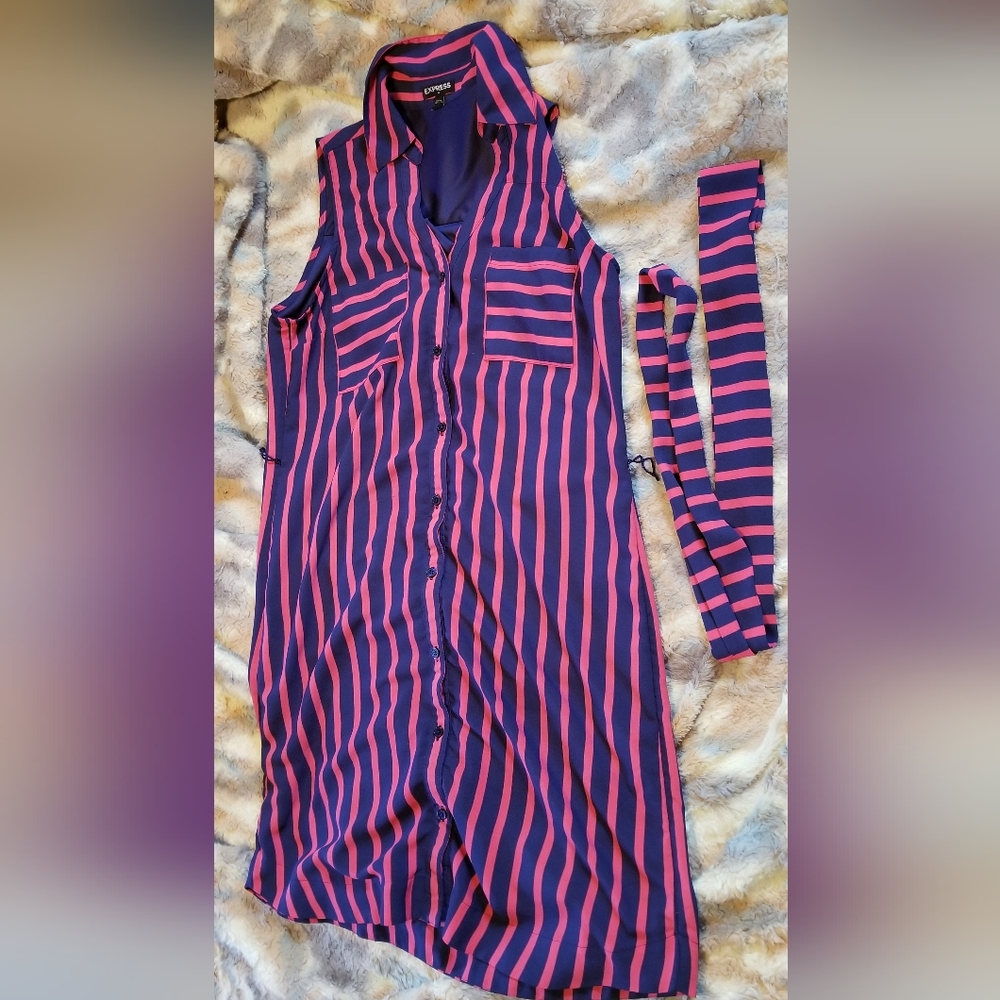Express Navy and Pink Striped Dress Size Small